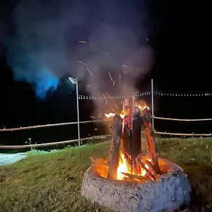 Jush Native And Glamping Campsite Dauis